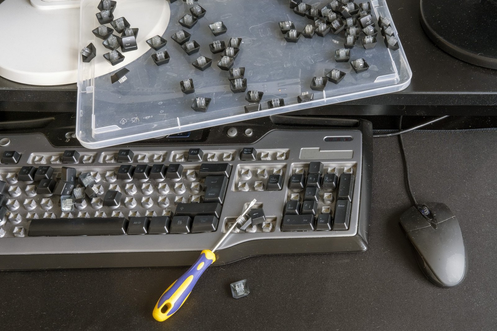 Person drückt einzelne Taste auf Tastatur
